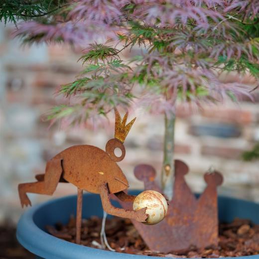 2024-05-16-20-55-01-EOS R6m2-1228-Verbessert-RR_2048px