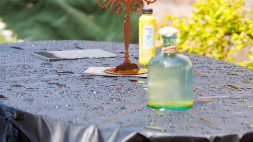 2024-05-19-13-51-00-EOS R6m2-4524