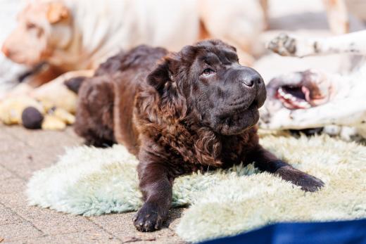 2024-05-19-14-13-43-EOS R6m2-4797