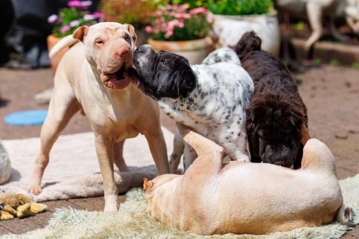 2024-05-19-14-15-01-EOS R6m2-4822