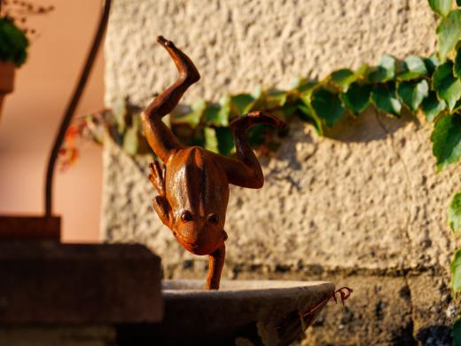 2024-08-07-19-26-07-EOS R6m2-5163-2