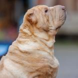 2024-08-07-19-35-58-EOS R6m2-5193