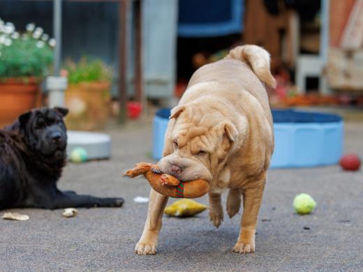 2024-08-07-19-44-17-EOS R6m2-5197