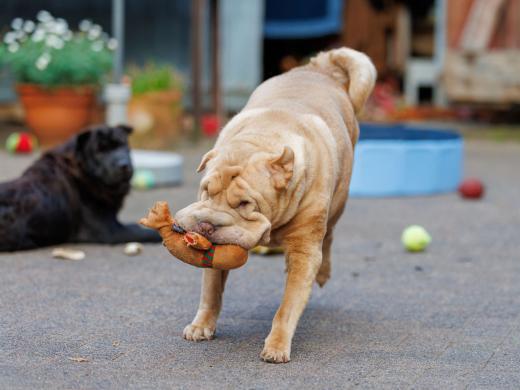 2024-08-07-19-44-18-EOS R6m2-5198