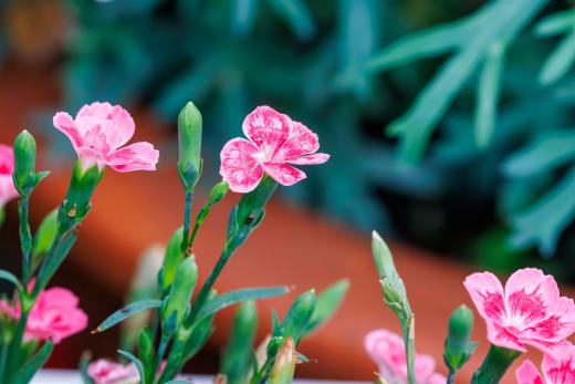 2024-06-01-19-40-58-EOS R7-6645-Verbessert-RR