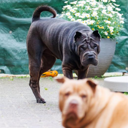 2024-06-01-19-44-00-EOS R7-6654-Verbessert-RR