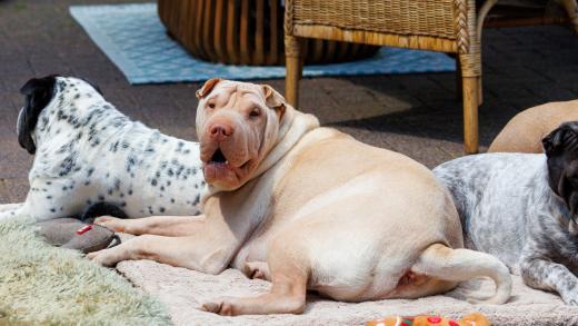 2024-06-23-14-10-43-EOS R7-6729