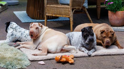 2024-06-23-14-10-47-EOS R7-6735