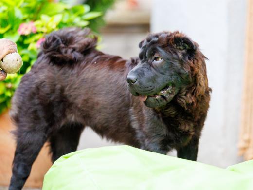 2024-06-23-20-06-52-EOS R6m2-4877