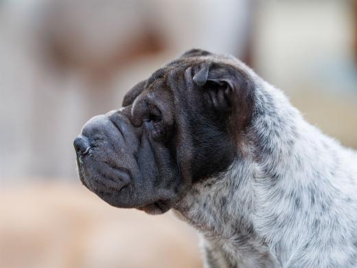 2024-06-23-20-12-27-EOS R6m2-4883