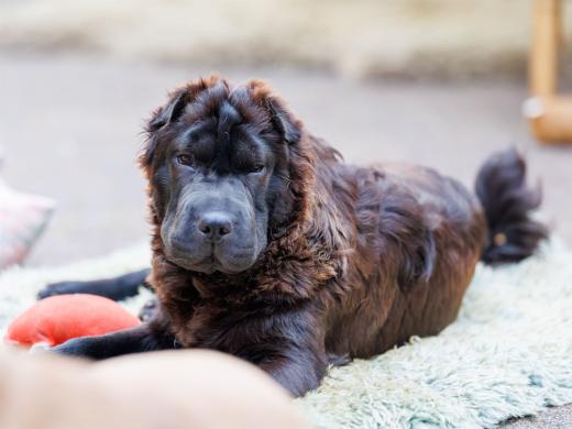 2024-06-23-20-17-50-EOS R6m2-4899-Verbessert-RR