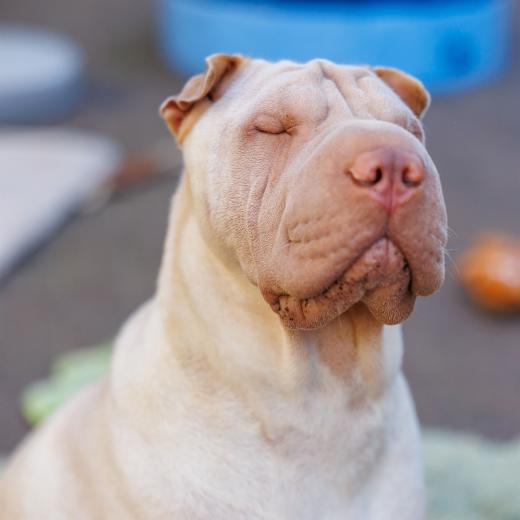 2024-06-28-17-54-08-EOS R6m2-1293