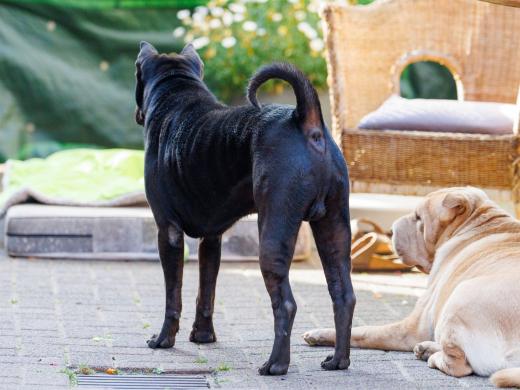 2024-06-28-18-28-09-EOS R6m2-4978