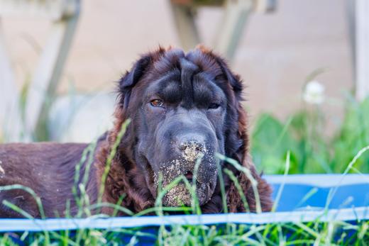 2024-06-28-18-32-54-EOS R6m2-5040-Verbessert-RR