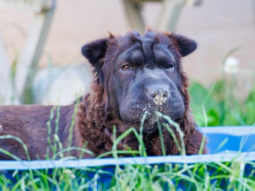 2024-06-28-18-33-03-EOS R6m2-5047-Verbessert-RR