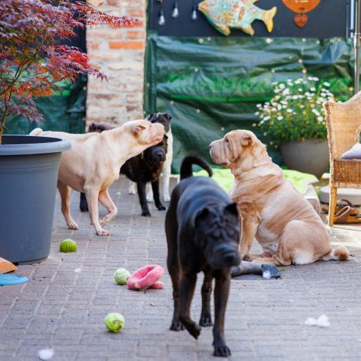 2024-06-28-18-57-58-EOS R6m2-1323