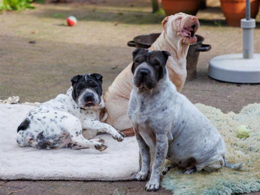 2024-10-06-16-09-47-EOS R6m2-1606_2048px