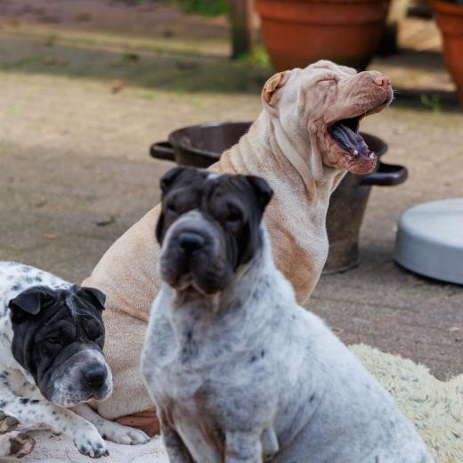 2024-10-06-16-09-47-EOS R6m2-1608_2048px