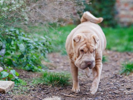 2024-10-06-16-12-21-EOS R6m2-5361_2048px