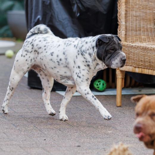 2024-10-06-16-13-41-EOS R6m2-5369_2048px