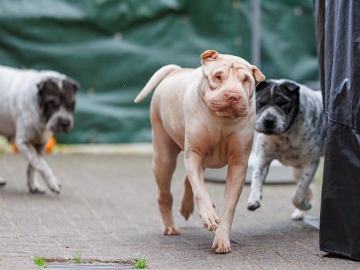 2024-10-06-16-16-40-EOS R6m2-5391_2048px