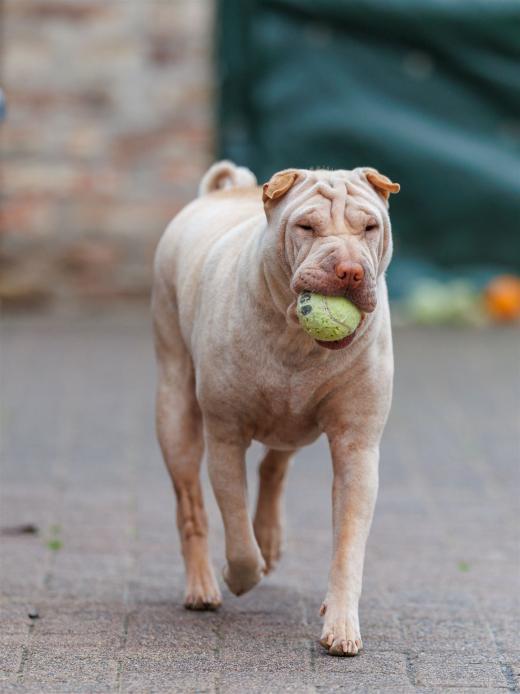 2024-10-06-16-16-43-EOS R6m2-5392_2048px