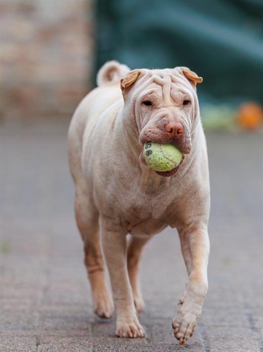 2024-10-06-16-16-44-EOS R6m2-5393_2048px