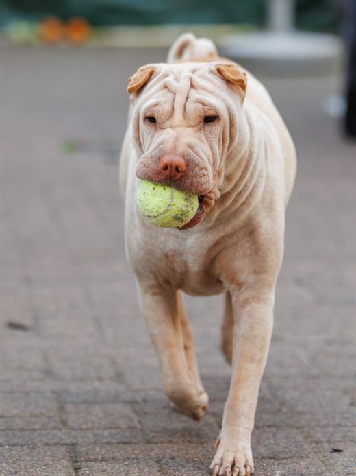 2024-10-06-16-18-11-EOS R6m2-5404_2048px