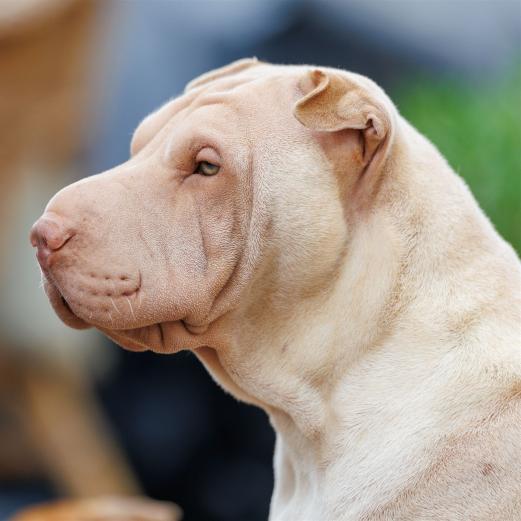 2024-10-06-16-20-58-EOS R6m2-5408_2048px