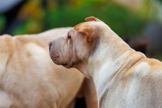 2024-10-06-16-21-13-EOS R6m2-5410_2048px