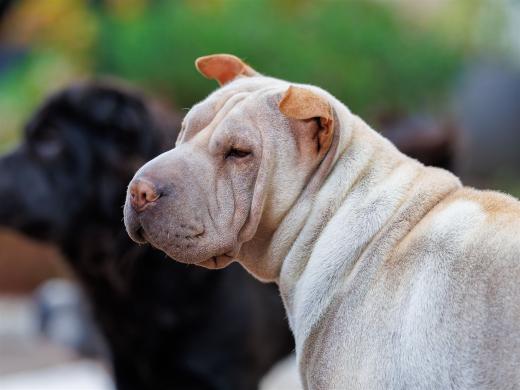 2024-10-06-16-21-17-EOS R6m2-5412_2048px