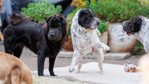 2024-10-06-16-23-05-EOS R6m2-5425_2048px