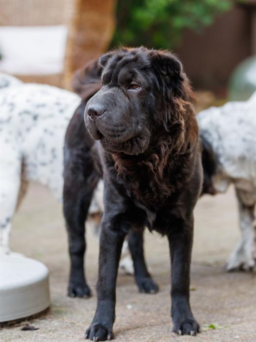 2024-10-06-16-23-46-EOS R6m2-5433_2048px