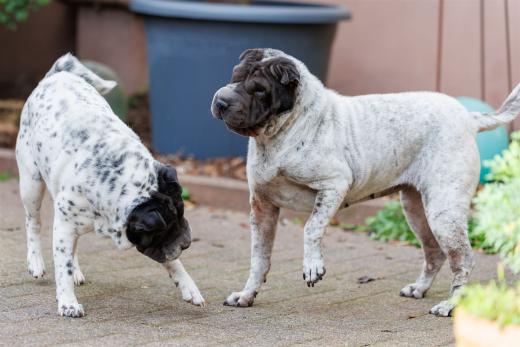 2024-10-06-16-24-37-EOS R6m2-5438_2048px