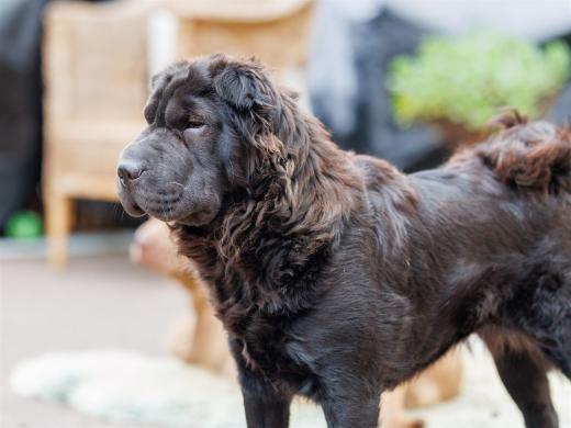 2024-10-06-16-26-19-EOS R6m2-5446_2048px