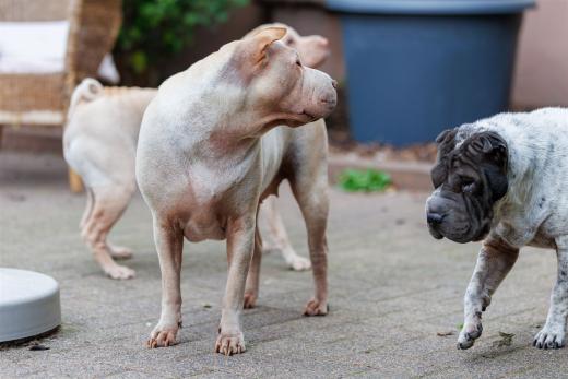 2024-10-06-16-26-49-EOS R6m2-5453_2048px