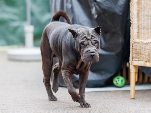 2024-10-06-16-27-31-EOS R6m2-5460_2048px