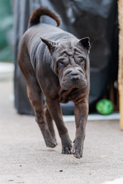 2024-10-06-16-27-32-EOS R6m2-5461_2048px