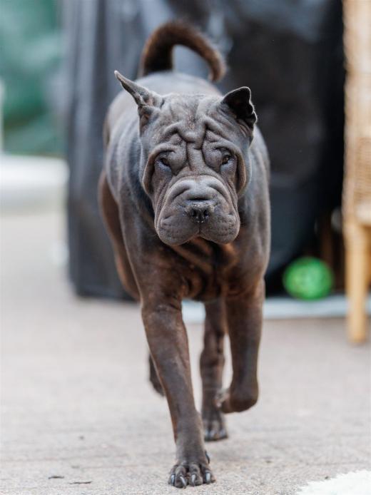 2024-10-06-16-27-32-EOS R6m2-5462_2048px