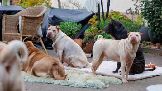 2024-10-06-16-31-49-EOS R6m2-1625_2048px