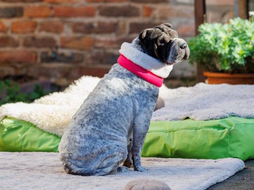 2024-10-26-15-29-42-EOS R6m2-5518_2048px