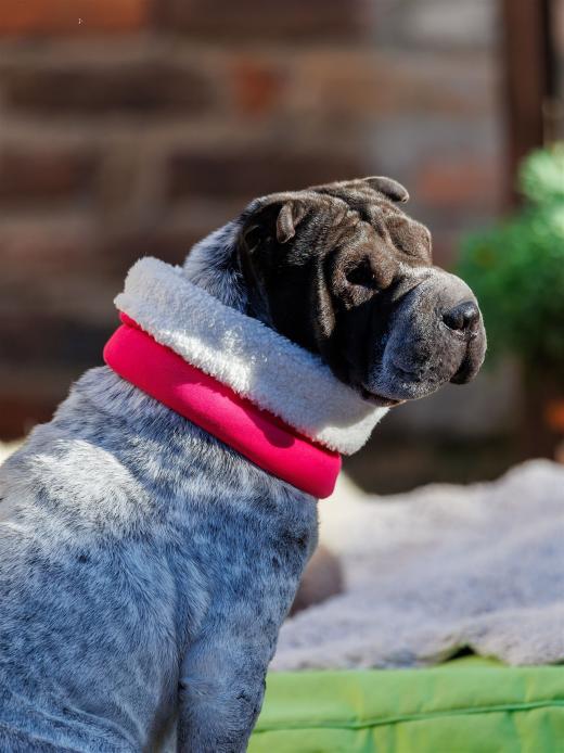 2024-10-26-15-29-49-EOS R6m2-5521_2048px