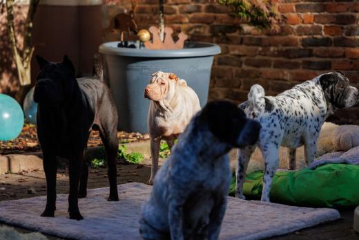 2024-10-26-15-34-08-EOS R6m2-1675_2048px