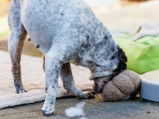 2024-10-26-15-35-39-EOS R6m2-5544_2048px