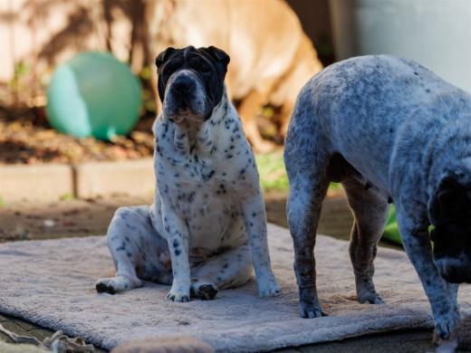 2024-10-26-15-35-46-EOS R6m2-5548_2048px