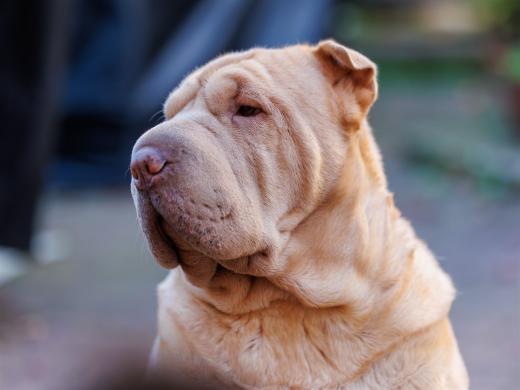 2024-10-26-15-36-38-EOS R6m2-5577-Verbessert-RR_2048px