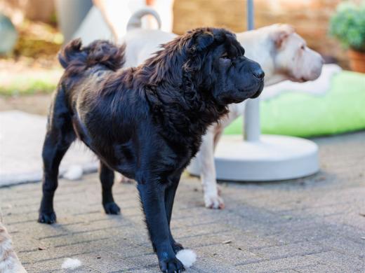 2024-10-26-15-39-08-EOS R6m2-5591-Verbessert-RR_2048px