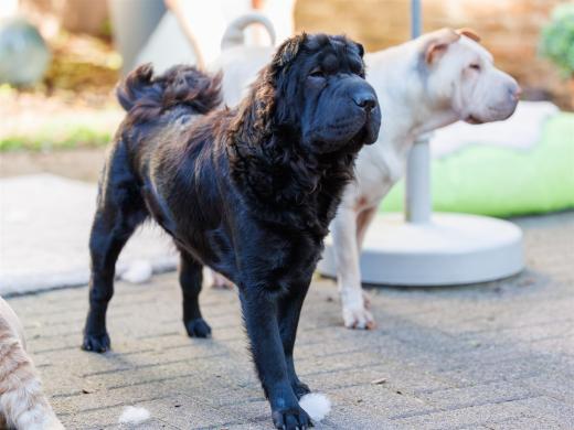 2024-10-26-15-39-09-EOS R6m2-5594-Verbessert-RR_2048px