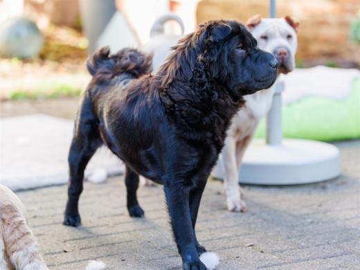 2024-10-26-15-39-10-EOS R6m2-5595-Verbessert-RR_2048px