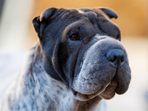 2024-10-26-15-40-56-EOS R6m2-5612_2048px